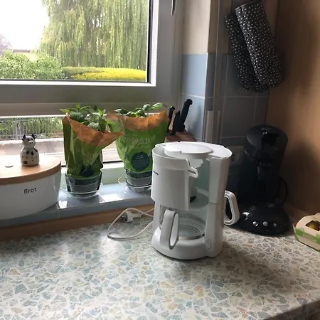Mika Mit Garten Apartment